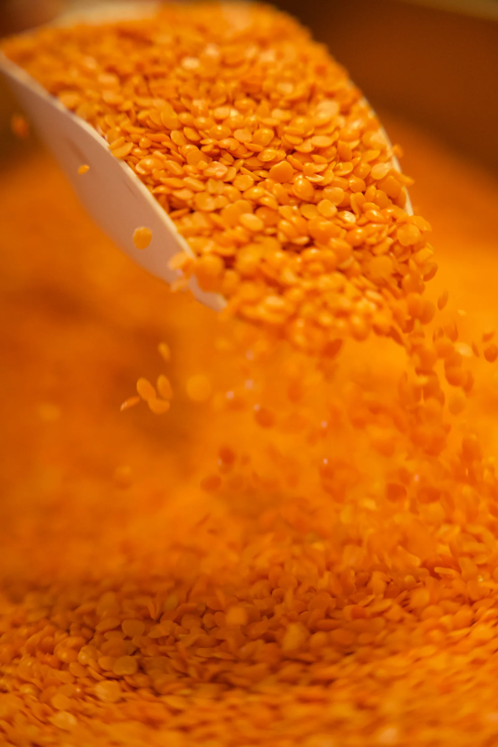 Red lentils spilling from a scoop in the grocery section